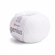 YarnArt Genius
