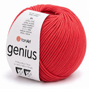 YarnArt Genius