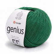 YarnArt Genius
